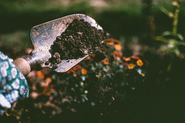 5 Essential Garden Tools Every Gardener Must Have